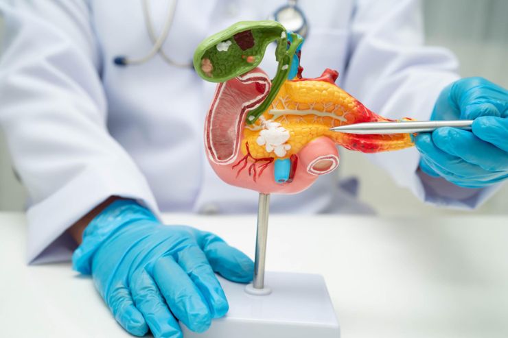 Gastroenterology